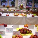 Výstava ovoce a zeleniny 2010