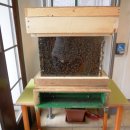 Včelařská výstava ke 100. výročí