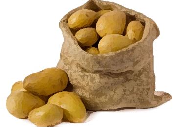 sadbové brambory